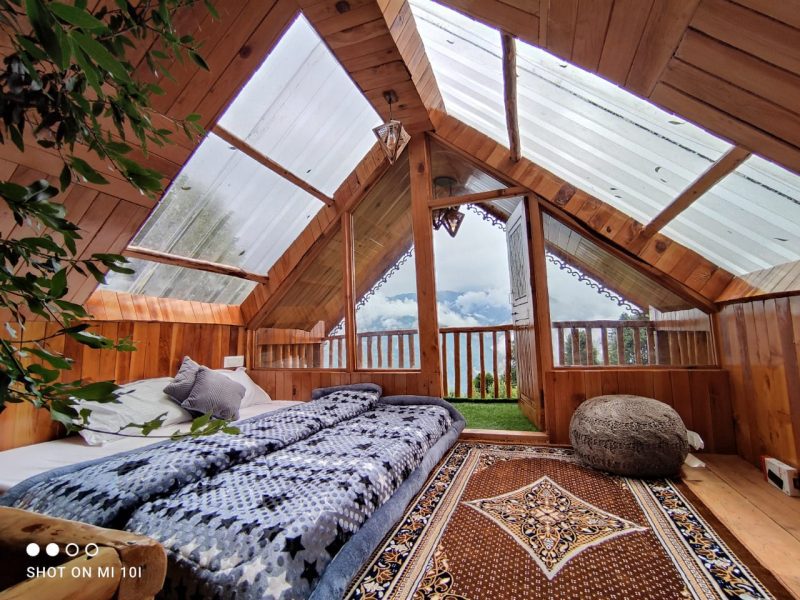 Tree Top Room