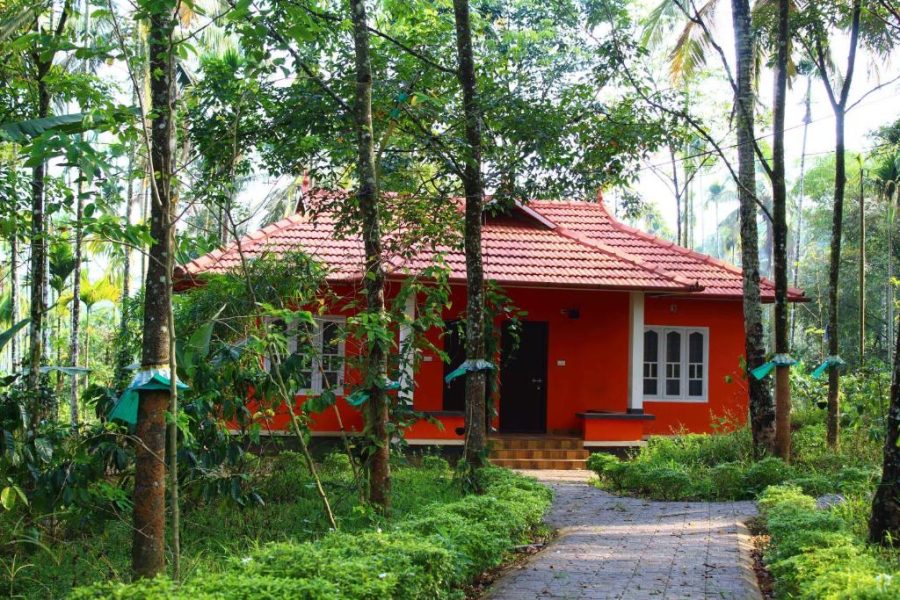 Cozy Nature Cabin with Pool near Thusharagiri | Wayanad