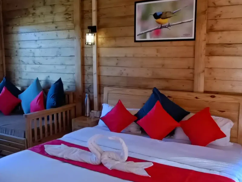 Deluxe Rooms