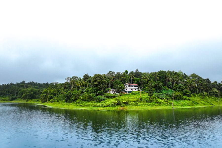 Cozy Nature Cabin with Pool near Thusharagiri | Wayanad