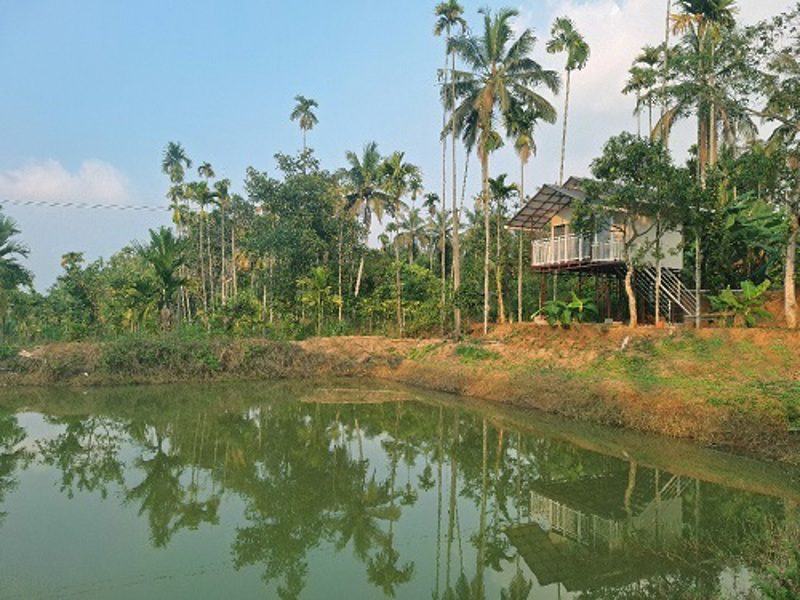 stay in Wayanad