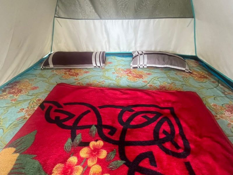 Camping in Munnar