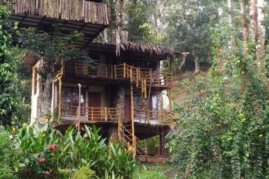 Peaceful Mountain Estate Bungalow in Nature near Munnar