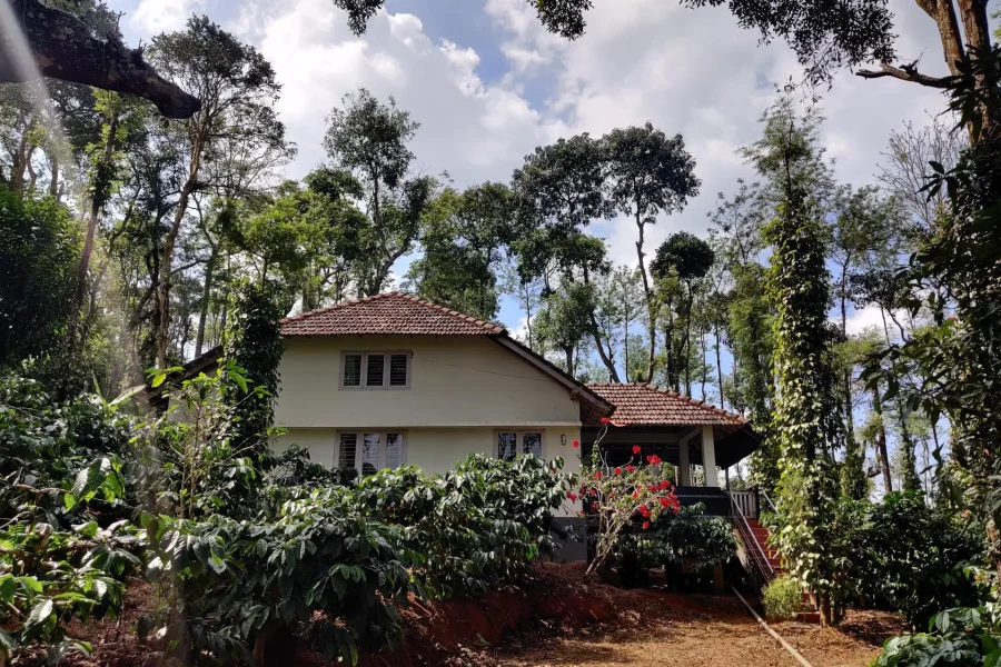 River Rock Camping in Coorg