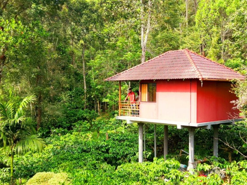 Wayanad jungle stay