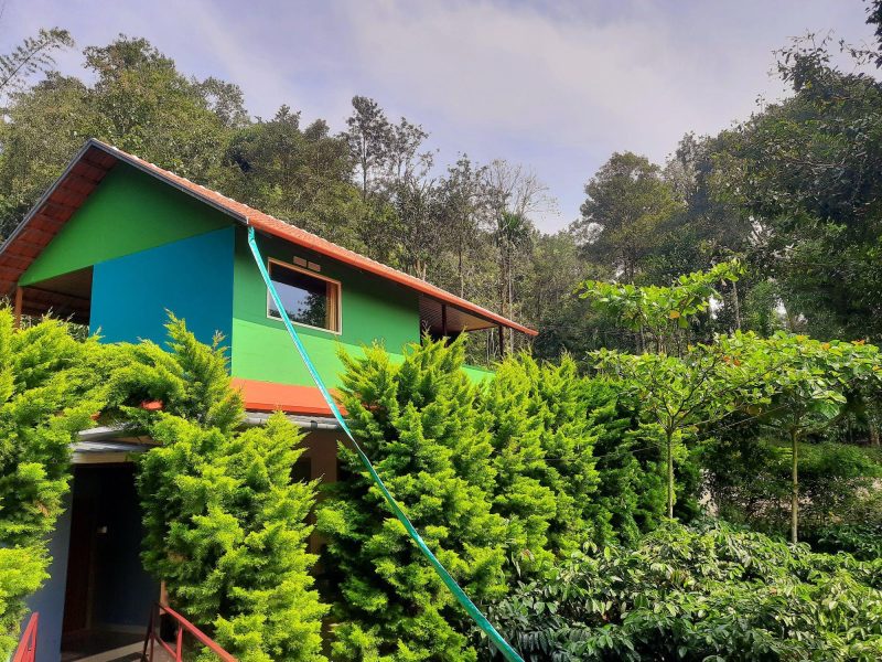 Wayanad jungle stay