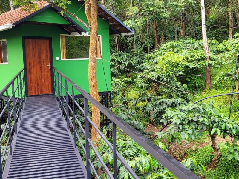 Wayanad jungle stay