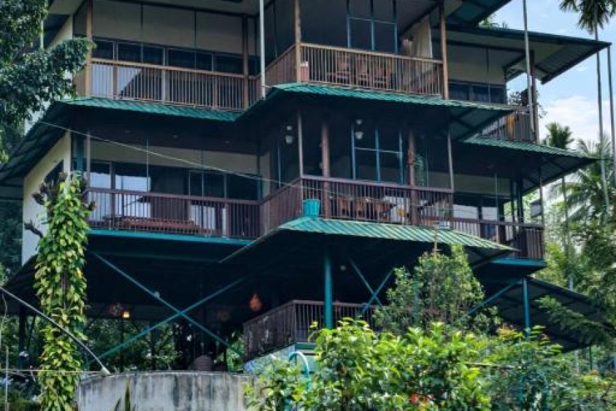 Luxury Estate stay in wayanad