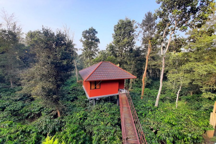 Forest stay with pool in Wayanad