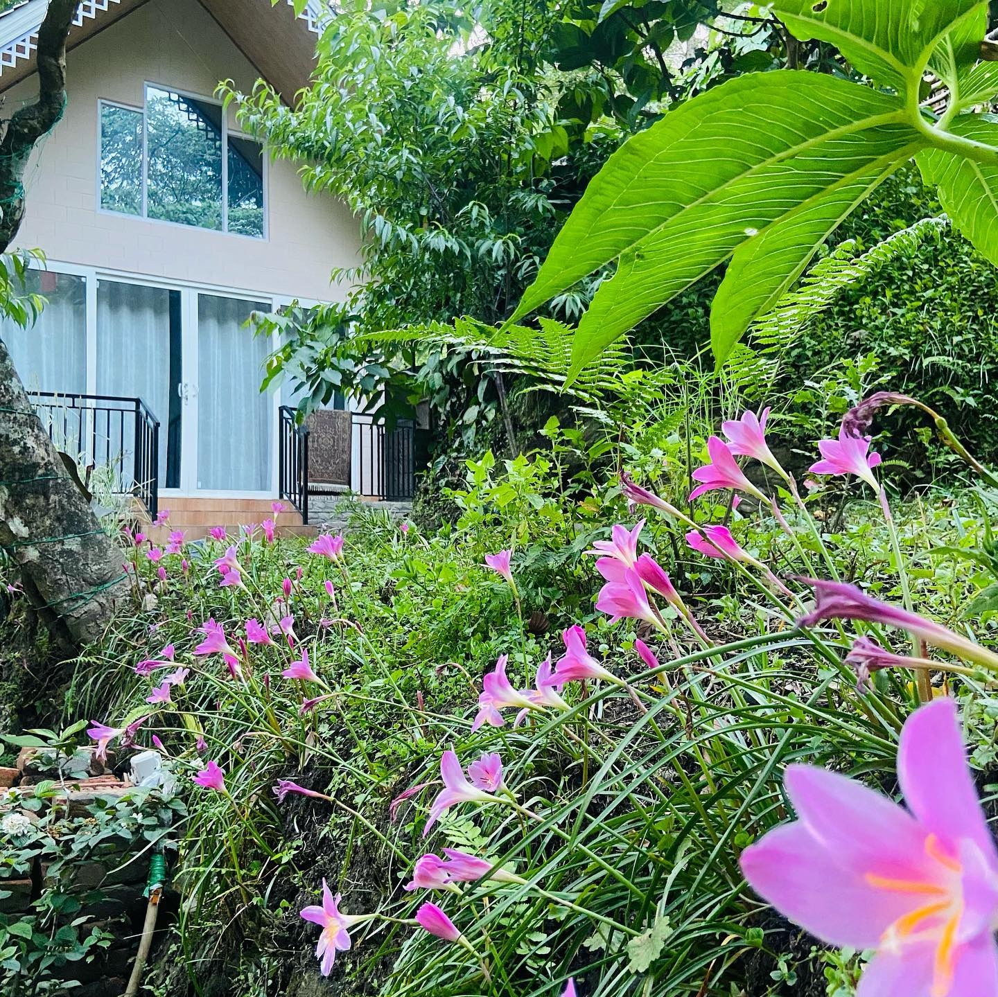 Cottage stay in sikkim
