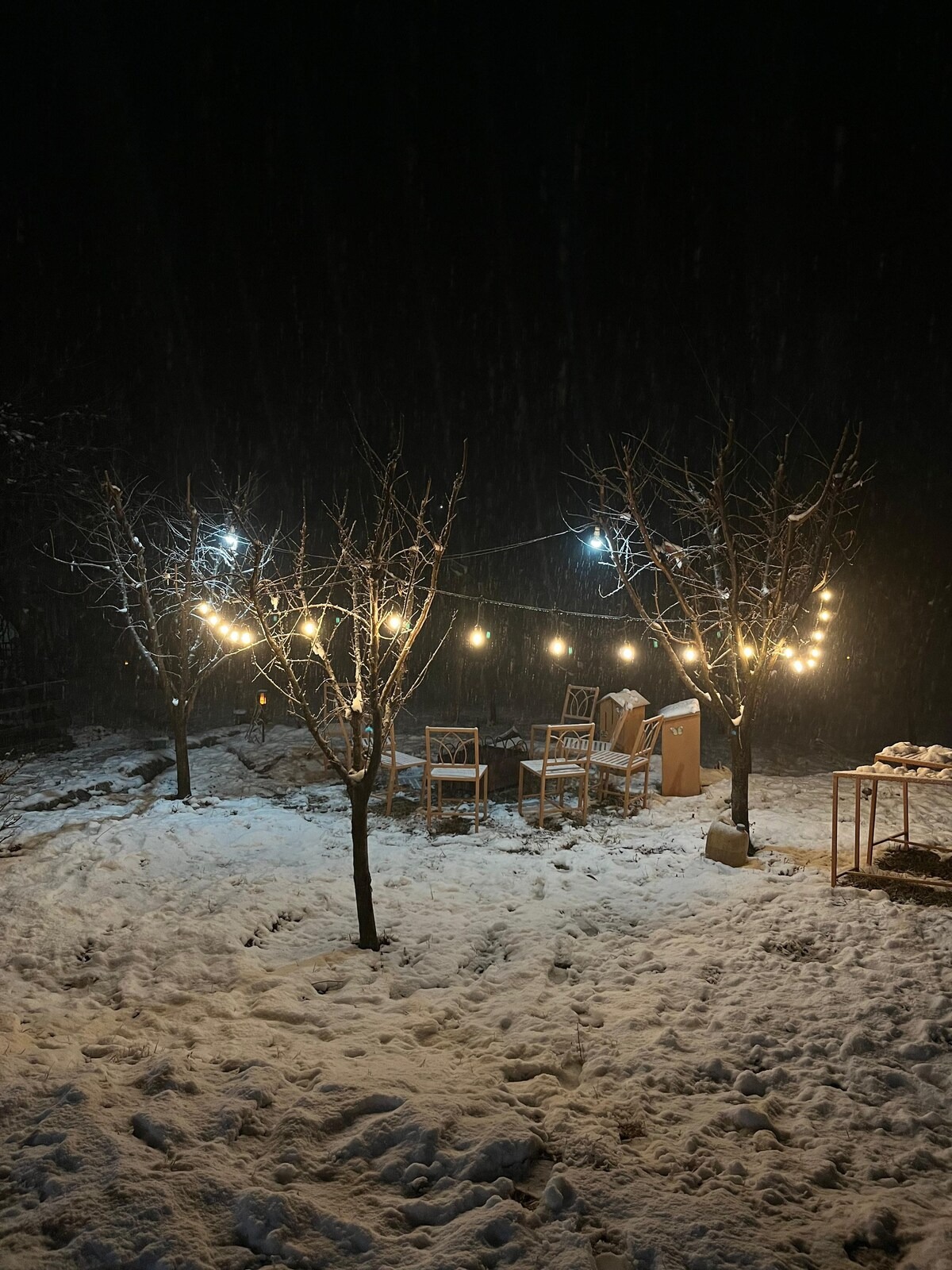 Cottage in Srinagar | Farmhouse in Jammu and Kashmir