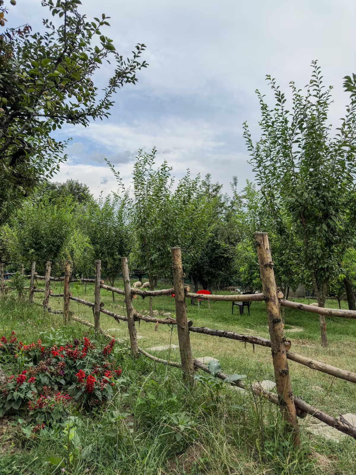 Cottage in Srinagar | Farmhouse in Jammu and Kashmir