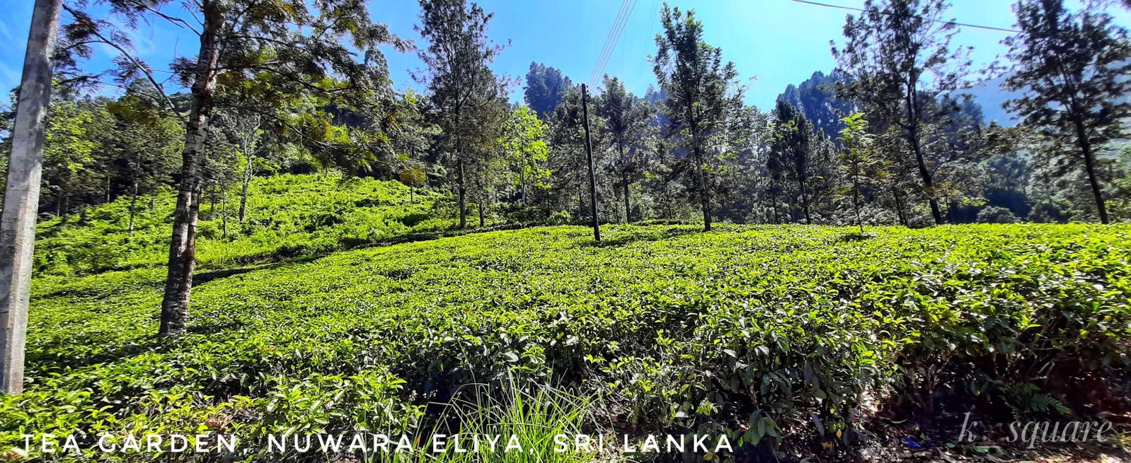 Sri Lanka – New Year Special Tour