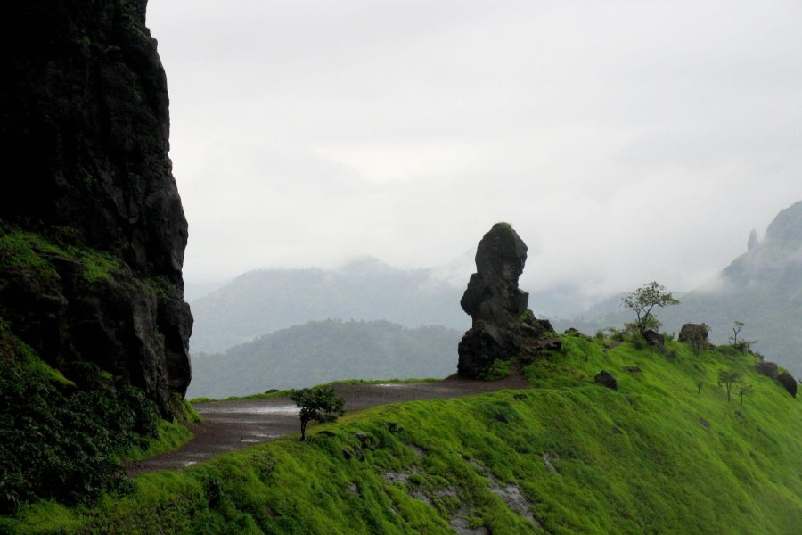 Aadrai Jungle Trek from Mumbai