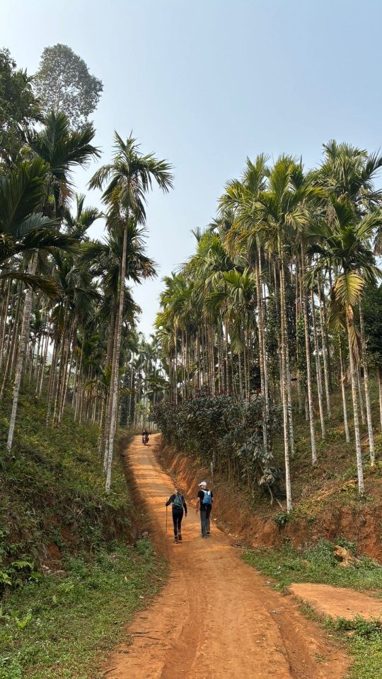 Camp near Guwahati