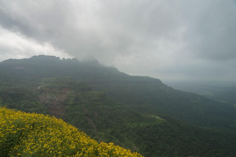 Bhimashankar Monsoon Tour
