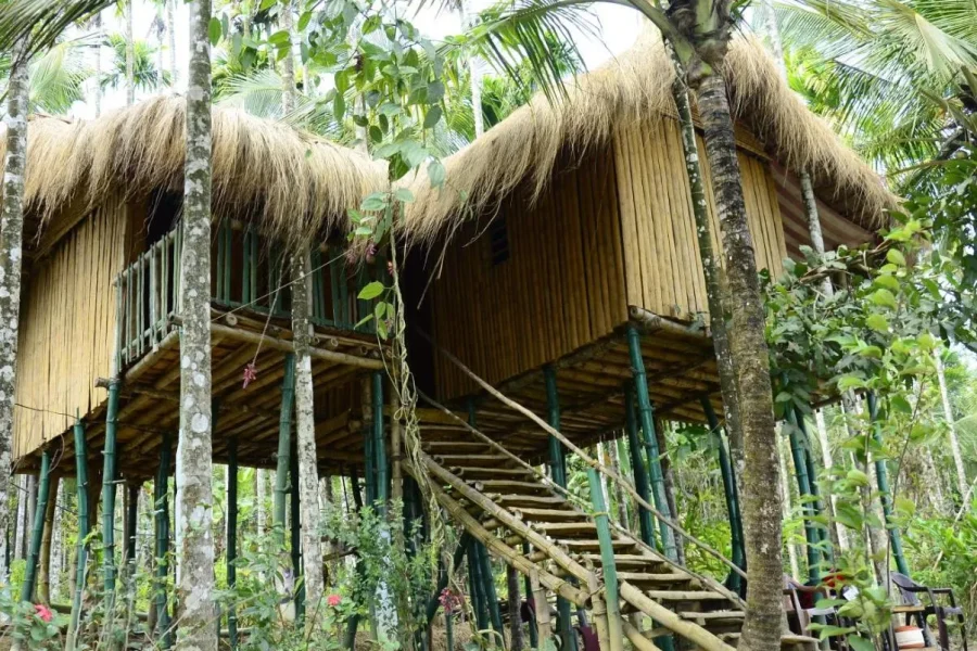 Greenways Tree House and Mud House
