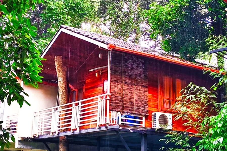 Coorg Coffee Bean Resort