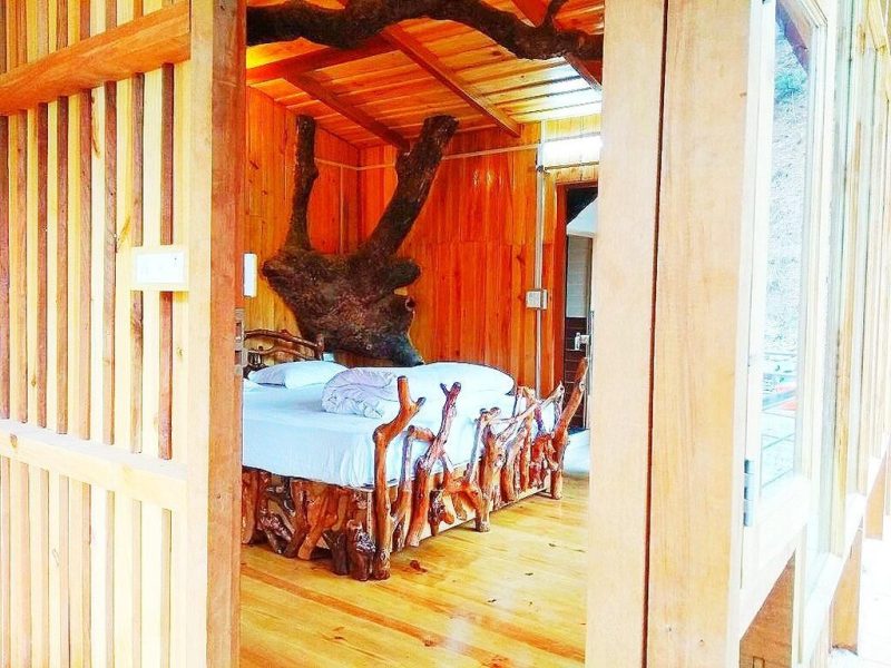 Tree House
