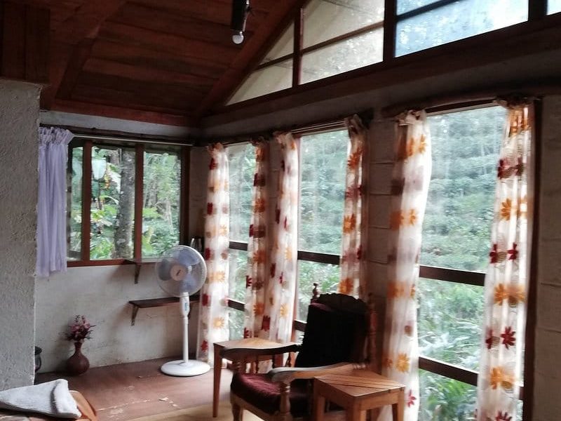 Room with garden view