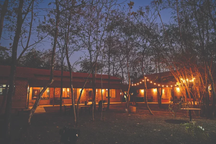 Luxury Jungle Escape in Tadoba