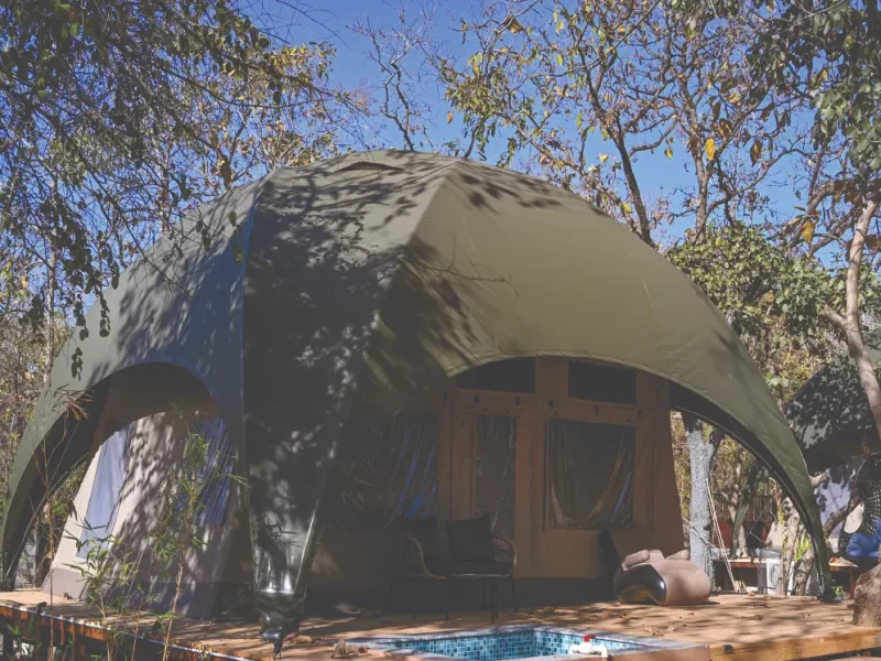 Colossal Tents – Grandeur in the Wild