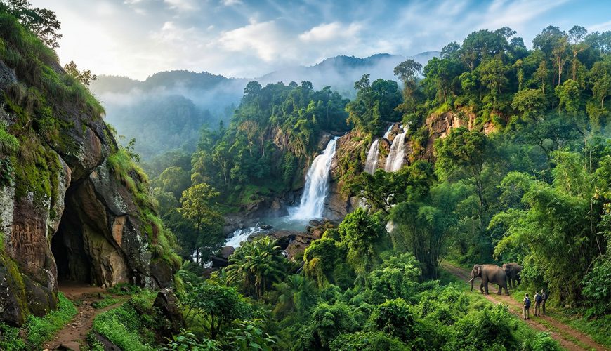 Wayanad’s Wild Heart: Ancient Caves, Gushing Waterfalls, and Elephant Safari Wilderness