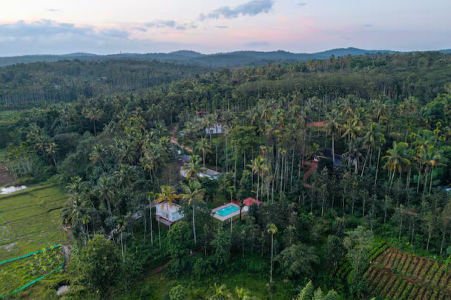 Tiny home in Wayanad