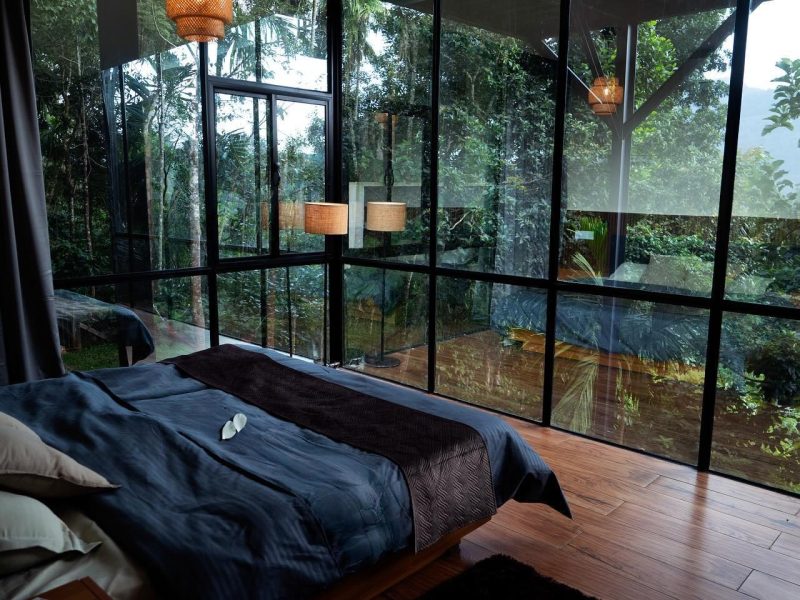 Forest stay with pool in Wayanad