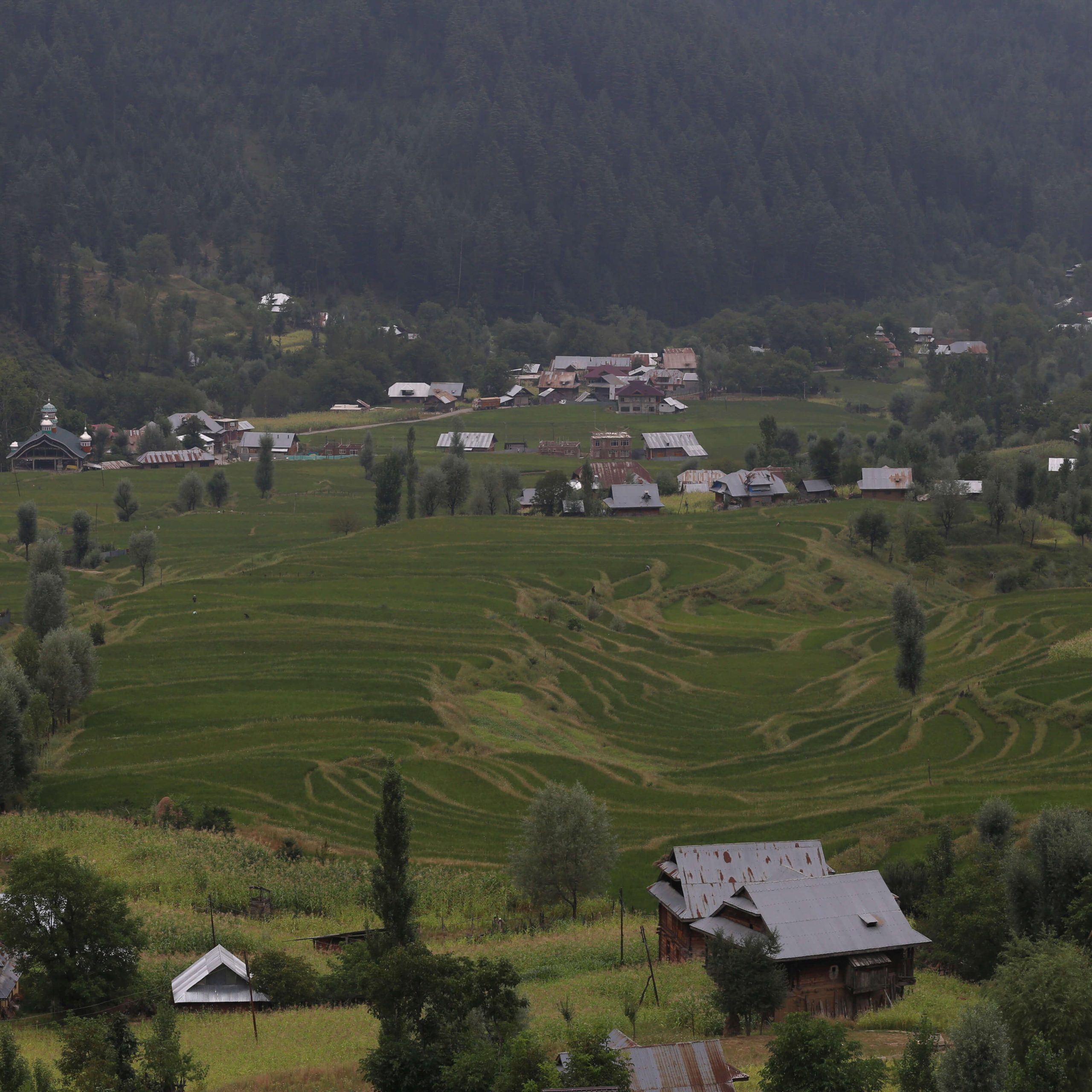 staydaze-loc-unravel-expedition