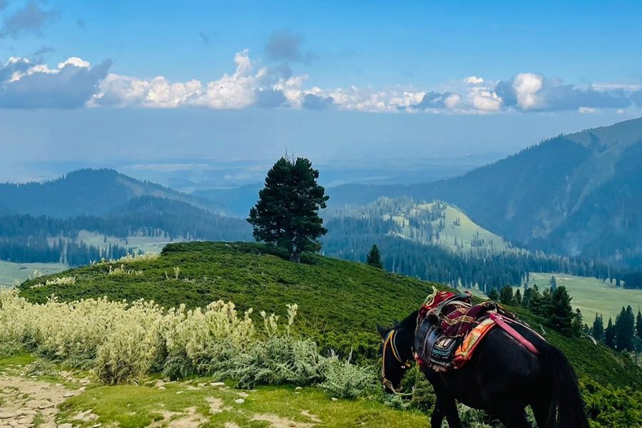 Tosamaidan Yusmarg Trek