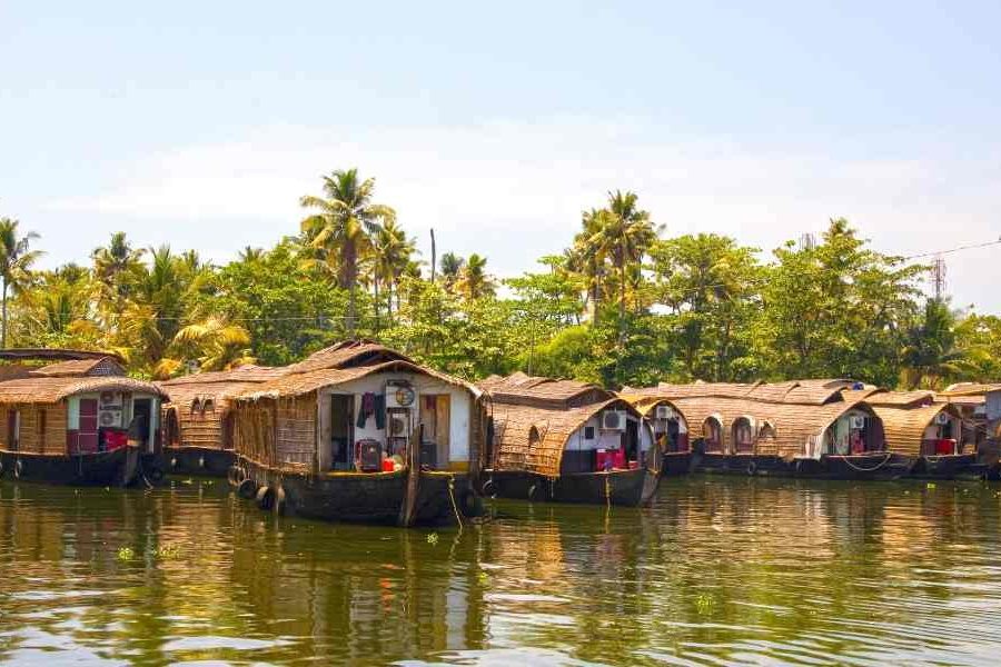 Kerala Tour from Mumbai – Munnar  Thekkady – Alleppey