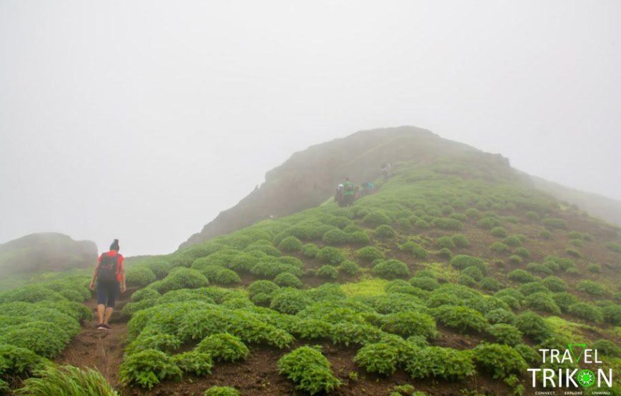 Ratangad Fort Monsoon Trek