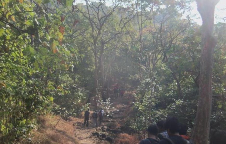 Karnala Fort Monsoon Trek