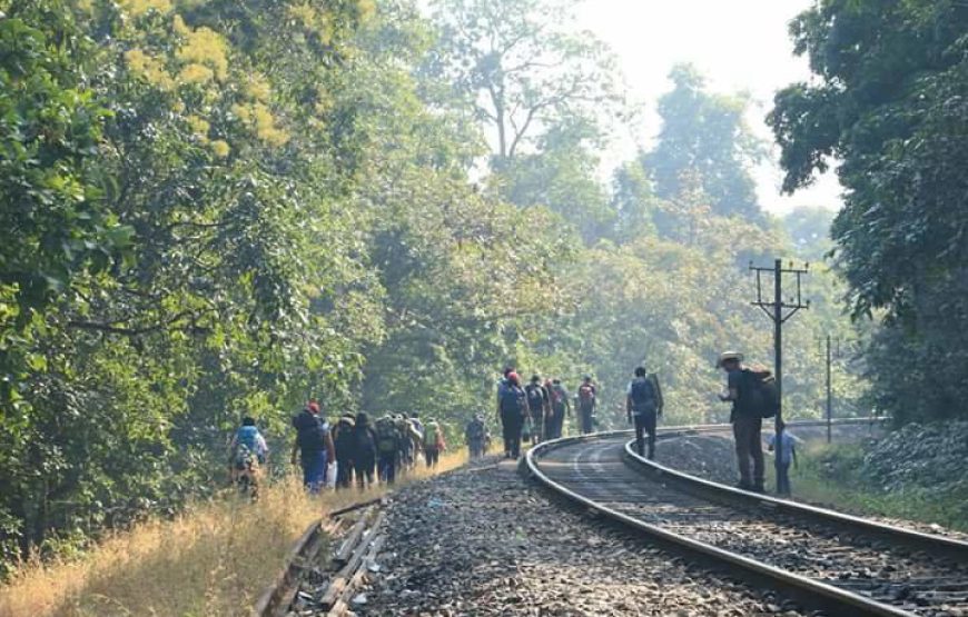Dudhsagar Waterfall Trek