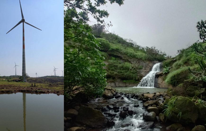 Windmills Jungle Trek
