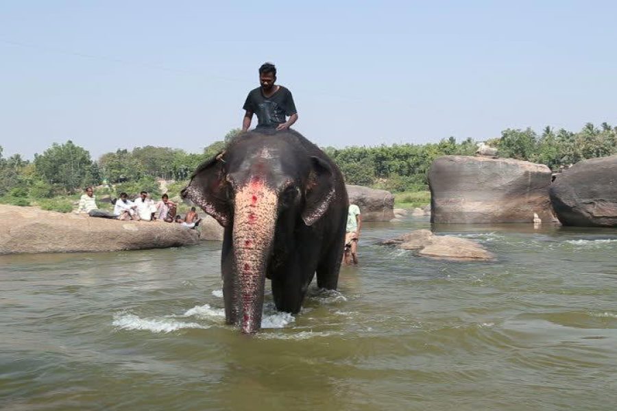 Hampi Tour Holi Special