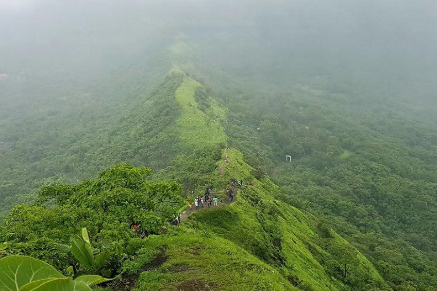 Tikona Fort Monsoon Trek From Pune