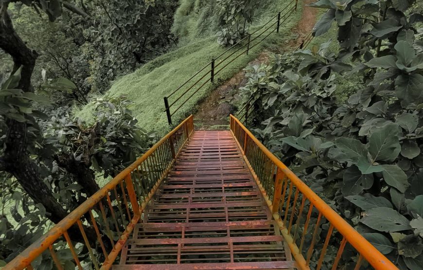 Sudhagad Monsoon Trek