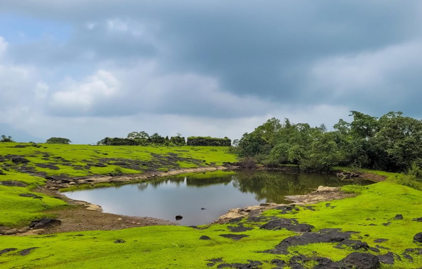 Sudhagad Monsoon Trek