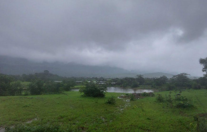 Aadrai Jungle Trek from Mumbai