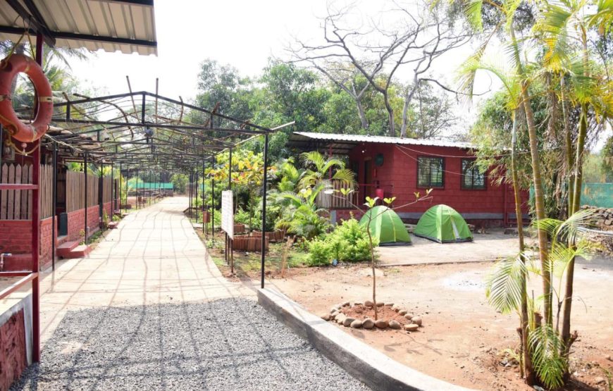 Valentine Day Special Camping At Kolad