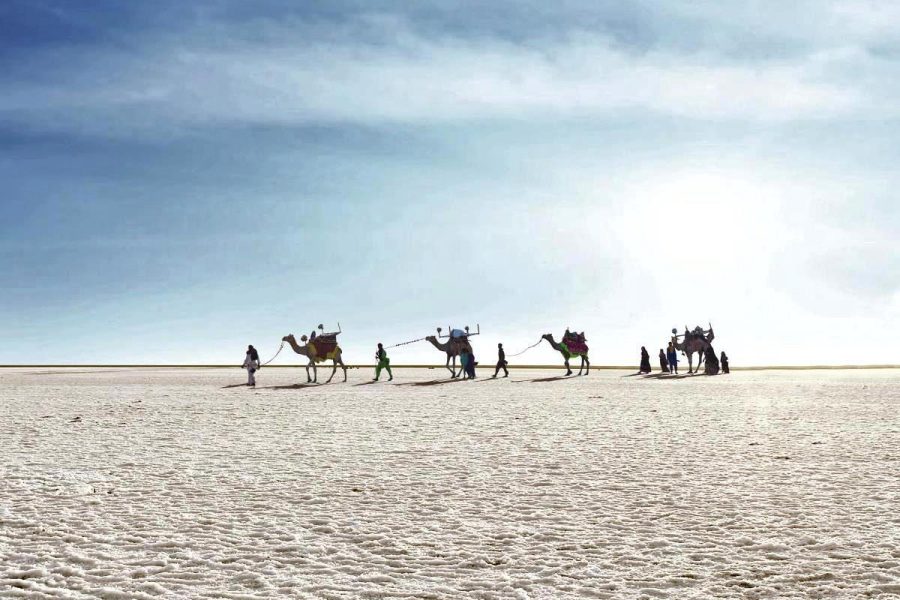 Great Rann of Kutch with Dholavira