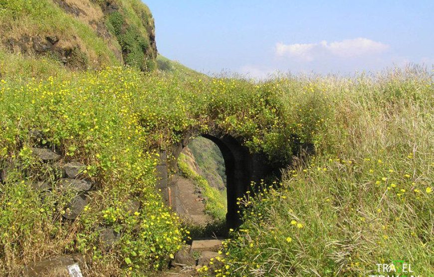 Ratangad Flower Special Trek