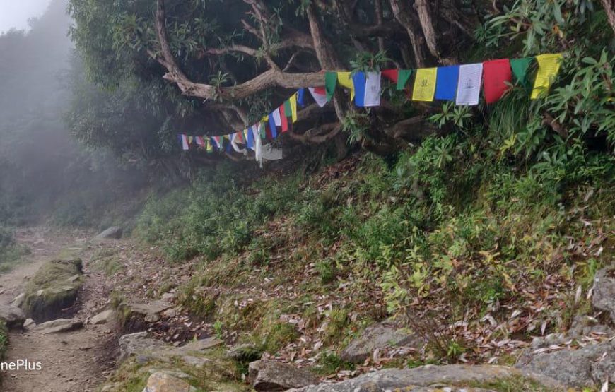 Dharamshala – McLeodganj – Bir Billing Tour Package