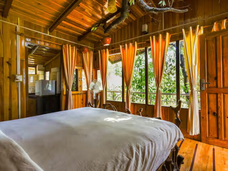 Tree House in Alchaun along river