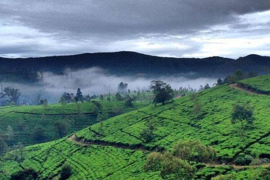 Sri Lanka Backpacking Tour From Mumbai