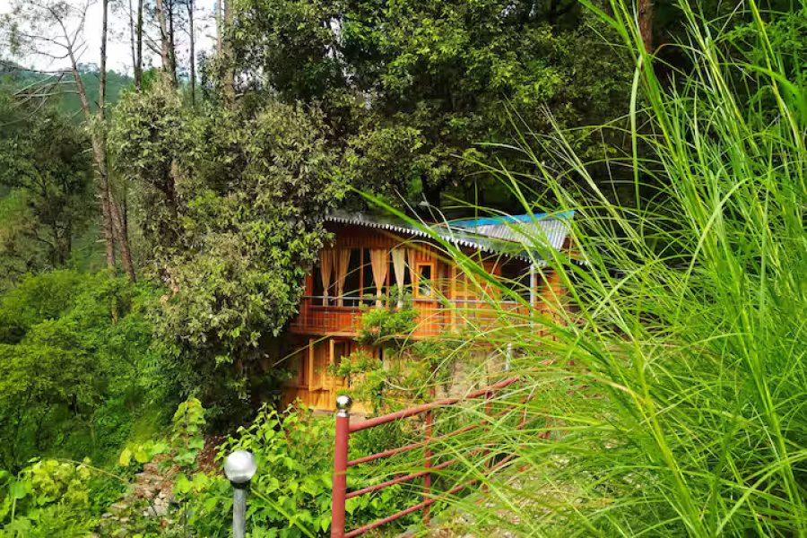 Tree House in Alchaun along river