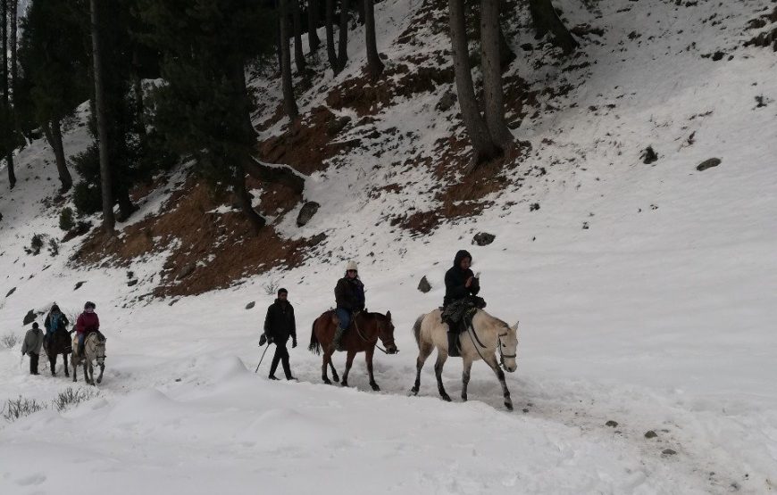 Kashmir Tour from Mumbai