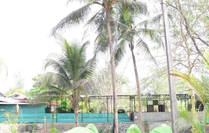Valentine Day Special Camping At Kolad